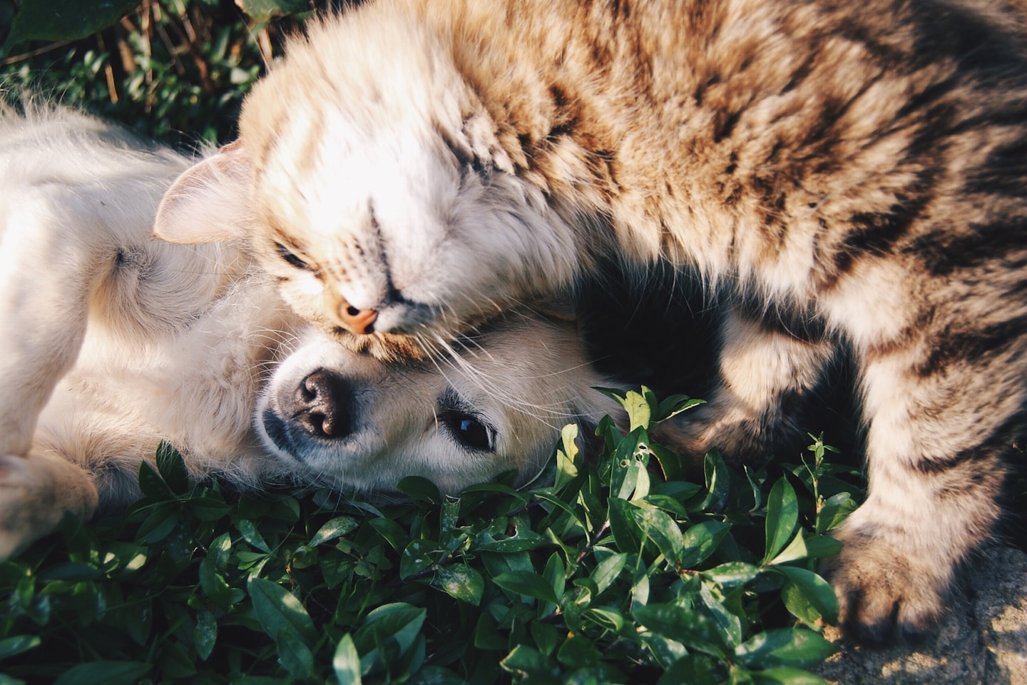 Real life best friends