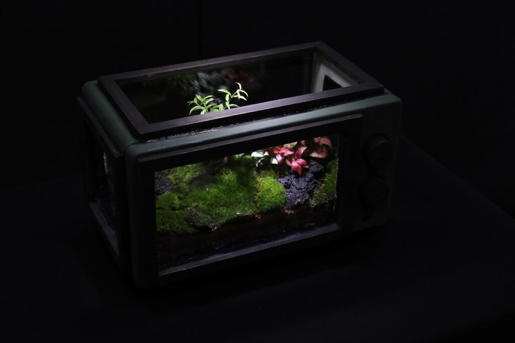 a fish tank with plants inside of it